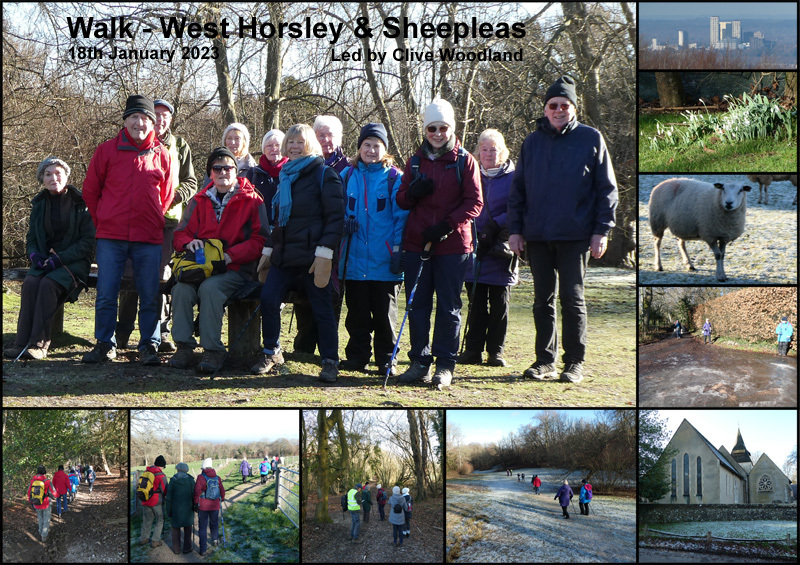 Walk - West Horsley & Sheepleas - 18th January 2023